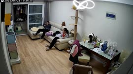 Cat's tail catches fire - feline calmly watches flames with confused look