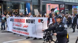 US: Pro-Palestinian demonstrators march in Chicago