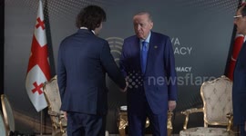 Türkiye: Turkish president meets Georgian prime minister on sidelines of ADF 2025