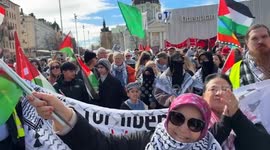 Sweden: Swedes gather in Stockholm to protest Israel over killing Palestinian civilians