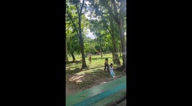Horror bee attack leaves 43 locals in hospital in the Philippines
