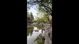 Cyclist shows off parkour skills by jumping across stones in Shanghai, China