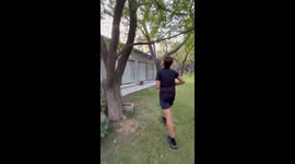 Tree branch betrayal: Hilarious pull-up attempt ends in epic fall