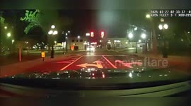 Police catch 'drunk driver' after chase in Tampa, Florida