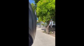 Petrol station by the sea has a stunning beach view