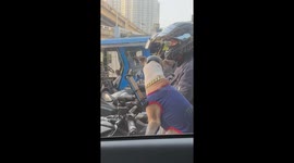 Hounds Angels! Pet dog with gold chain and helmet rides motorcycle