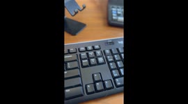 Cat Puts Pause On Computer Work