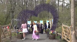 UK: West Sussex Tulip Festival captivates visitors with vibrant colors