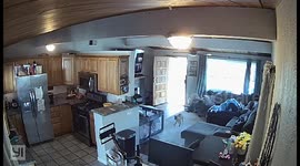CLEAR VERSION: Dogs sense earthquake moments before shake captured on CCTV in Santee, CA
