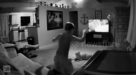 Cat tackles teenager showing him who really is the man of the house