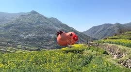 Inflatable capybara floats and bounces in Zhejiang, China