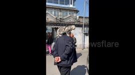 Cat balances on elderly man's shoulders during leisurely stroll