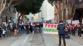 US: Pro-Palestinian protesters in Washington demand release of activist Mahmoud Khalil