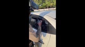 Flock of geese hitch a ride on the back seat of car