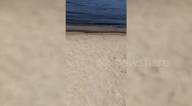 UAE: Tourists Sicken As Oil Pollutes UAE Coast