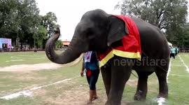 Joyful village game of elderly play tug-of-war with smart elephant
