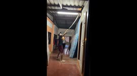 Animal rescue team removes 11ft King Cobra hiding in ceiling
