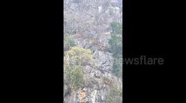 Monkey's incredible descent down steep mountain caught by local