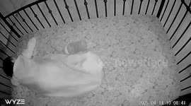 Baby woken up by 5.2-magnitude earthquake in San Diego