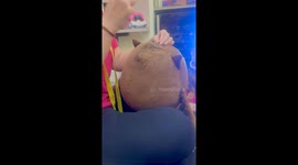 Stuffed Animal Stitched Together By Dachshund Dogtor