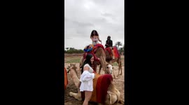 Heartbeats and humps: Girl's thrill ride turns tranquil on a Marrakech camel trek