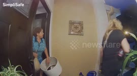 Frog Freak Out At Front Door