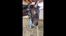 Shocking parasite extraction: 16 million viewers witness Parascaris equorum in foal