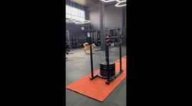 Gym-Going Golden's Water Delivery Service