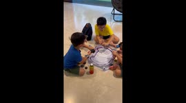 Morkie Gets Invested in Spinning Top Battle