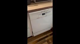 Malfunctioning Dishwasher Shorts Electrical