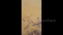 US: Muddy River After Flooding in Louisville