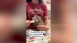 Sound on: Baby beaver throws tantrum at mealtime