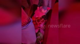 Spain: Drug Operation Disguised In Candy And Toys Dismantled In Spain