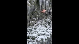 Northern Michigan Ice Storm Freezes Tree Solid