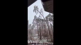 Massive Ice Storm Causes Trees to Snap and Fall Across Ontario