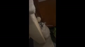 Magnolia Won't Let You Out of Her Sight