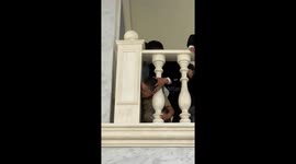 Kid’s head-stuck moment goes viral with over 3 million views