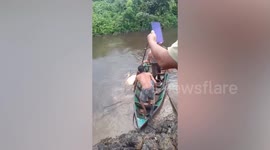 Boy, 8, killed by crocodile while picking up ball from canal