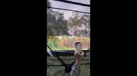 Close Encounter With Caterwauling Florida Panther