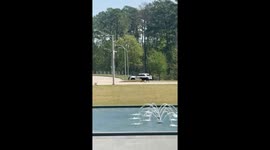 Runaway Cow On Scenic Tour Through North Houston