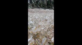 Frozen Rain Encases Grass In Glass