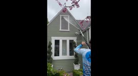 Eco-friendly soft wash reveals stunning home makeover in satisfying viral video