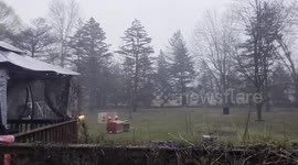 Tree Falls During Spring Storm in Southeast Michigan