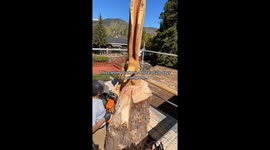 Artist turns fallen Sequoia into 25-foot masterpiece of bears climbing tree—Each one represents a family member