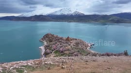 Türkiye: Drone footage showcases almond blossoms on Akdamar Island ahead of spring festival in eastern Türkiye