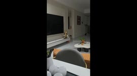 Curious cat plays with sculpture and gets repeatedly tapped in Fujian, China