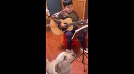 Dog sneezes mid-song while singing with child in Anhui, China