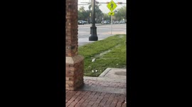 Police chase quadricycle in Fort Lauderdale