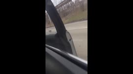 Dog rescued from highway traffic in Chicago