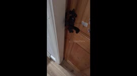 Annoyed sister has an anger episode after persistent teasing from playful sibling